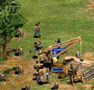 Le bois est ncessaire en grande quantit